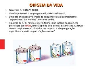 • Francesco Redi (1626-1697).
• Um dos primeiros a empregar o método experimental.
• Uma das principais evidências da abiogênese era o aparecimento
“espontâneo” de “vermes” em carne podre.
• Hipótese de Redi: “Os seres vermiformes que surgem na carne em
putrefação são larvas, um estágio do ciclo de vida das moscas. As larvas
devem surgir de ovos colocados por moscas, e não por geração
espontânea a partir da putrefação da carne”
ORIGEM DA VIDAORIGEM DA VIDA
 