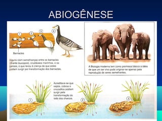 ABIOGÊNESE
 
