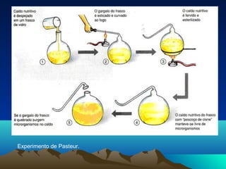 Experimento de Pasteur.
 