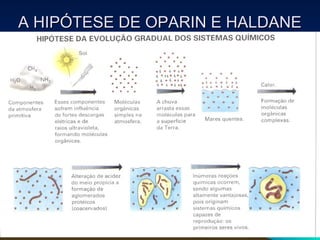 A HIPÓTESE DE OPARIN E HALDANE
 