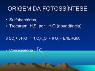 ORIGEM DA FOTOSSÍNTESE
• Sulfobactérias,
• Trocaram H2S por H2O (abundância)

6 CO2 + 6 H2O   1 C6H12O6 + 6 O2 + ENERGIA


• Conseqüência :   O2
 