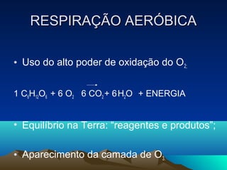 RESPIRAÇÃO AERÓBICA

• Uso do alto poder de oxidação do O 2;


1 C6H12O6 + 6 O2 6 CO2 + 6 H2O + ENERGIA


• Equilíbrio na Terra: “reagentes e produtos”;

• Aparecimento da camada de O3.
 