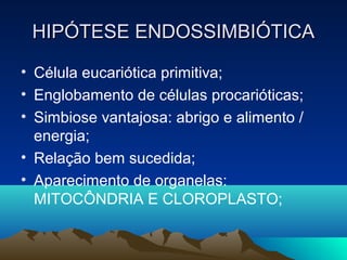 HIPÓTESE ENDOSSIMBIÓTICA

• Célula eucariótica primitiva;
• Englobamento de células procarióticas;
• Simbiose vantajosa: abrigo e alimento /
  energia;
• Relação bem sucedida;
• Aparecimento de organelas:
  MITOCÔNDRIA E CLOROPLASTO;
 