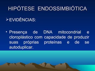 HIPÓTESE ENDOSSIMBIÓTICA
 EVIDÊNCIAS:

• Presença de DNA mitocondrial e
  cloroplástico com capacidade de produzir
  suas próprias proteínas e de se
  autoduplicar.
 