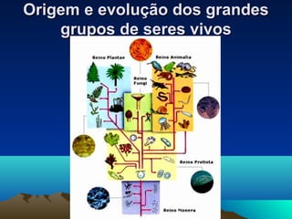 Origem e evolução dos grandes
    grupos de seres vivos
 