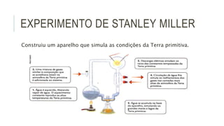 EXPERIMENTO DE STANLEY MILLER
Construiu um aparelho que simula as condições da Terra primitiva.
 