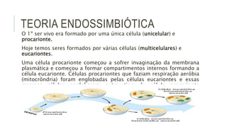 TEORIA ENDOSSIMBIÓTICA
O 1º ser vivo era formado por uma única célula (unicelular) e
procarionte.
Hoje temos seres formados por várias células (multicelulares) e
eucariontes.
Uma célula procarionte começou a sofrer invaginação da membrana
plasmática e começou a formar compartimentos internos formando a
célula eucarionte. Células procariontes que faziam respiração aeróbia
(mitocrôndria) foram englobadas pelas células eucariontes e essas
mesmas células englobaram outro tipo de célula procarionte
fotossintetizante (cloroplasto). Formando assim ancestrais de células
de animais, fungos e protozoários, e ancestrais de células de algas e
plantas.
 