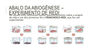 ABALO DA ABIOGÊNESE –
EXPERIMENTO DE REDINo século XVIII, ocorreram outros questionamentos sobre a origem
da vida e um dos primeiros foi o FRANCHESCO REDI, que fez um
experimento:
 