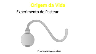 Experimento de Pasteur
Frasco pescoço de cisne
Origem da Vida
 