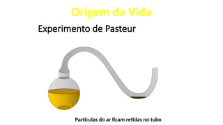 Experimento de Pasteur
Partículas do ar ficam retidas no tubo
Origem da Vida
 