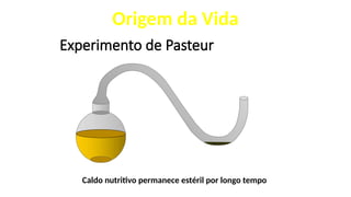 Experimento de Pasteur
Caldo nutritivo permanece estéril por longo tempo
Origem da Vida
 
