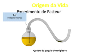 Experimento de Pasteur
Quebra do gargalo do recipiente
Origem da Vida
AR
MICROORGANISMOS
 