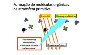 Formação de moléculas orgânicas
na atmosfera primitiva
Descargas elétricas
Raios UV
Reações químicas
Formaram-se
aminoácidos,
monossacarídeos,
nucleotídeos...
 
