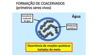 FORMAÇÃO DE COACERVADOS
(primeiros seres vivos)
Água
Camada de
moléculas
de água
Moléculas
protéicas
Ocorrência de reações químicas
isoladas do meio
 