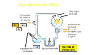 Experimento de Miller
NH3
H2
H2O
CH4
Presença de
aminoácidos
 
