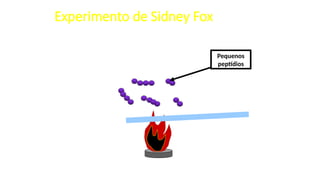 Experimento de Sidney Fox
Pequenos
peptídios
 