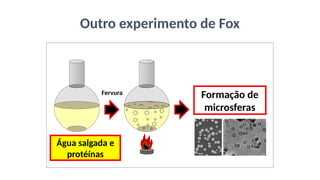 Fervura
Outro experimento de Fox
Água salgada e
protéínas
Formação de
microsferas
 