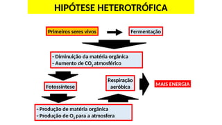 Hipótese heterotrófica
Primeiros seres vivos Fermentação
- Diminuição da matéria orgânica
- Aumento de CO2 atmosférico
Fotossíntese
- Produção de matéria orgânica
- Produção de O2 para a atmosfera
Respiração
aeróbica MAIS ENERGIA
HIPÓTESE HETEROTRÓFICA
 