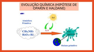 EVOLUÇÃO QUÍMICA (HIPÓTESE DE
OPARIN E HALDANE)
 