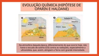 EVOLUÇÃO QUÍMICA (HIPÓTESE DE
OPARIN E HALDANE)
Na atmosfera daquela época, diferentemente do que ocorre hoje, não
havia o escudo de ozônio (O3) contra as radiações, especialmente a
ultravioleta, que, assim, atingiam a Terra com grande intensidade.
 