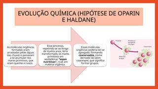 EVOLUÇÃO QUÍMICA (HIPÓTESE DE OPARIN
E HALDANE)
As moléculas orgânicas
formadas eram
arrastadas pelas águas
das chuvas e passavam
a se acumular nos
mares primitivos, que
eram quentes e rasos.
Esse processo,
repetindo-se ao longo
de muitos anos, teria
transformado os mares
primitivos em
verdadeiras “sopas
nutritivas”, ricas em
matéria orgânica.
Essas moléculas
orgânicas poderia ter-se
agregado, formando
coacervados, nome
derivado do latim
coacervare, que significa
formar grupos.
 