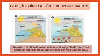 EVOLUÇÃO QUÍMICA (HIPÓTESE DE OPARIN E HALDANE)
No caso, o sentido de coacervados é o de conjunto de moléculas
orgânicas reunidas em grupos envoltos por moléculas de água.
 