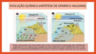 EVOLUÇÃO QUÍMICA (HIPÓTESE DE OPARIN E HALDANE)
Esses coacervados não eram seres vivos, mas uma primitiva organização das substâncias
orgânicas em um sistema semi-isolado do meio, podendo trocar substâncias com o meio
externo e havendo possibilidade de ocorrerem inúmeras reações químicas em seu interior.
 