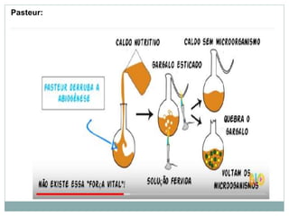Pasteur:
 