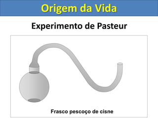 Experimento de Pasteur
Frasco pescoço de cisne
Origem da Vida
 