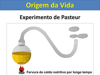 Experimento de Pasteur
Fervura do caldo nutritivo por longo tempo
Origem da Vida
 