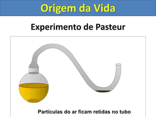 Experimento de Pasteur
Partículas do ar ficam retidas no tubo
Origem da Vida
 
