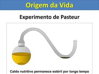 Experimento de Pasteur
Caldo nutritivo permanece estéril por longo tempo
Origem da Vida
 