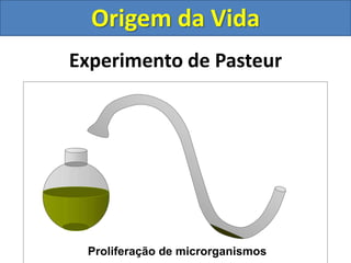 Experimento de Pasteur
Proliferação de microrganismos
Origem da Vida
 