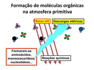 Formação de moléculas orgânicas
na atmosfera primitiva
Descargas elétricas
Raios UV
Reações químicas
Formaram-se
aminoácidos,
monossacarídeos,
nucleotídeos...
 