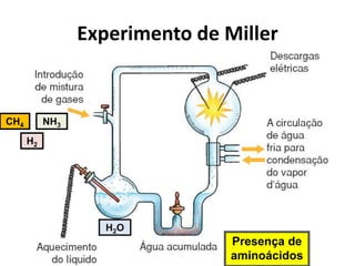 Experimento de Miller
NH3
H2
H2O
CH4
Presença de
aminoácidos
 