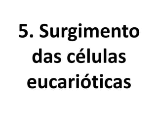 5. Surgimento
das células
eucarióticas
 