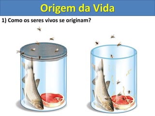 Origem da Vida
1) Como os seres vivos se originam?
 