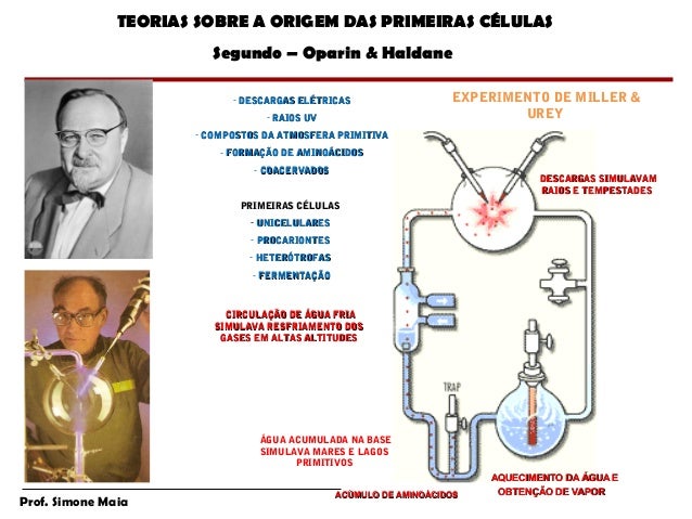 Resultado de imagem para experimento de oparin e haldane