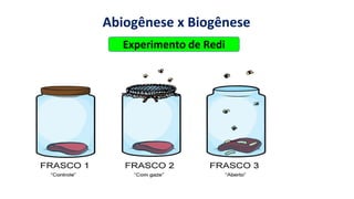 https://images.app.goo.gl/2oGphY3jkhW5dwqY9
Abiogênese x Biogênese
Experimento de Redi
 