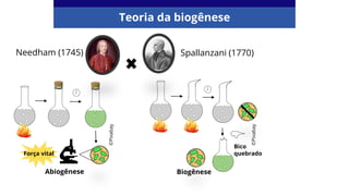 Needham (1745) Spallanzani (1770)
Força vital
Bico
quebrado
Abiogênese Biogênese
©Pixabay
©Pixabay
Teoria da biogênese
 