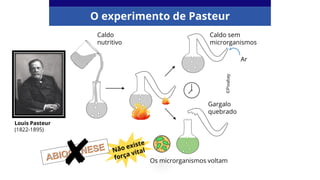 O experimento de Pasteur
Caldo
nutritivo
Caldo sem
microrganismos
Gargalo
quebrado
Os microrganismos voltam
Ar
Louis Pasteur
(1822-1895)
©Pixabay
 