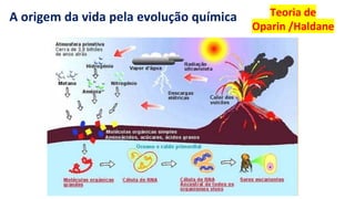 https://images.app.goo.gl/2oGphY3jkhW5dwqY9
Teoria de
Oparin /Haldane
A origem da vida pela evolução química
 