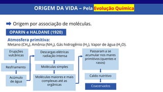 ORIGEM DA VIDA – Pela Evolução Química
OPARIN e HALDANE (1920)
Atmosfera primitiva:
Metano (CH4), Amônia (NH3), Gás hidrogênio (H2), Vapor de água (H2O).
Passaram a se
acumular nos mares
primitivos (quentes e
rasos)
Erupções
vulcânicas
Resfriamento
Acúmulo
de água
Descargas elétricas
radiação intensa
Moléculas simples
Moléculas maiores e mais
complexas até as
orgânicas
Caldo nutritivo
Coacervados
Origem por associação de moléculas.
 