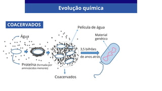 Evolução química
COACERVADOS
Água
/
Proteína (formada por
aminoácidos menores)
Coacervados
3,5 bilhões
de anos atrás
Material
genético
Película de água
 