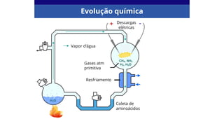 Evolução química
Vapor d’água
Gases atm
primitiva
Resfriamento
Descargas
elétricas
Coleta de
aminoácidos
 