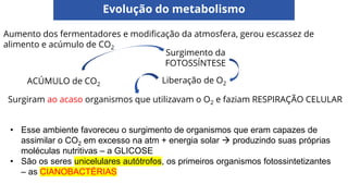 Evolução do metabolismo
Aumento dos fermentadores e modificação da atmosfera, gerou escassez de
alimento e acúmulo de CO2
Surgimento da
FOTOSSÍNTESE
Surgiram ao acaso organismos que utilizavam o O2 e faziam RESPIRAÇÃO CELULAR
ACÚMULO de CO2
• Esse ambiente favoreceu o surgimento de organismos que eram capazes de
assimilar o CO2 em excesso na atm + energia solar → produzindo suas próprias
moléculas nutritivas – a GLICOSE
• São os seres unicelulares autótrofos, os primeiros organismos fotossintetizantes
– as CIANOBACTÉRIAS
Liberação de O2
 