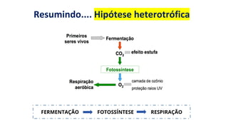 FERMENTAÇÃO FOTOSSÍNTESE RESPIRAÇÃO
Resumindo.... Hipótese heterotrófica
 