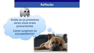 Reflexão
Então se os primeiros
seres vivos eram
procariontes
Como surgiram os
EUCARIONTES?
 