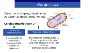Vida primitiva
Seres muito simples, semelhantes
às bactérias atuais (procariontes).
Sistema de
endomembranas Teoria da endossimbiose
A invaginação da
membrana
plasmática deu
origem às
organelas.
Mitocôndrias e cloroplastos já
foram organismos de vida
livre, mas passaram a viver em
simbiose
(milhares de anos atrás)
Células eucarióticas?
 