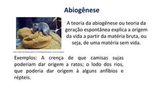 https://images.app.goo.gl/2oGphY3jkhW5dwqY9
A teoria da abiogênese ou teoria da
geração espontânea explica a origem
da vida a partir da matéria bruta, ou
seja, de uma matéria sem vida.
Abiogênese
https://www.oficinadoestudante.com.br/blogdobixo/quem-nunca-se-engana/
Exemplos: A crença de que camisas sujas
poderiam dar origem a ratos; o lodo dos rios,
que poderia dar origem à alguns anfíbios e
répteis.
 